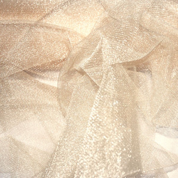 Sparkling Tulle Nightlife champagne